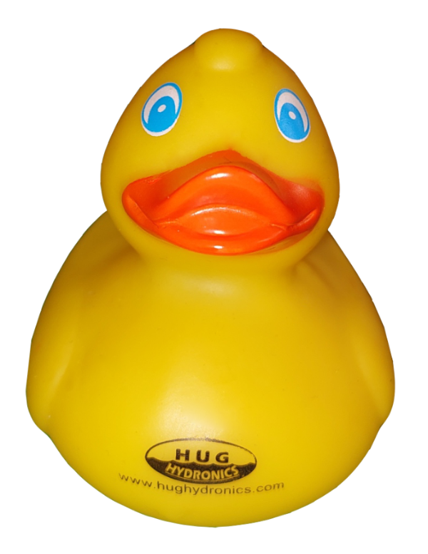 HUGH the Ducky