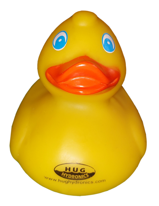 HUGH the Ducky