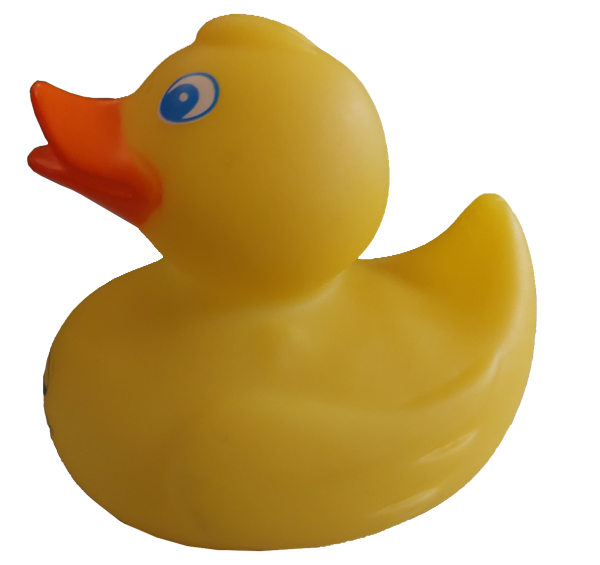 Hugh the ducky rubber duck right view